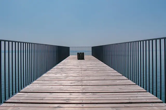 Guía de compra: Interpretación de datos